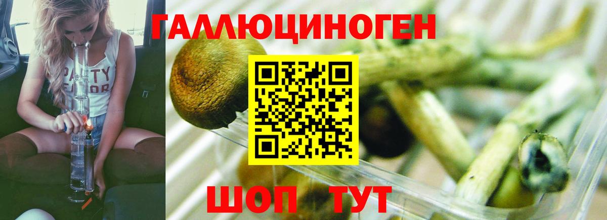 Галлюциногенные грибы ЛСД  Вход с VPN  Отрадный 